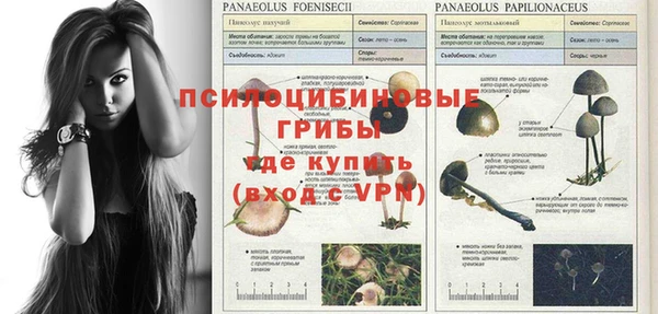 ешки Армянск