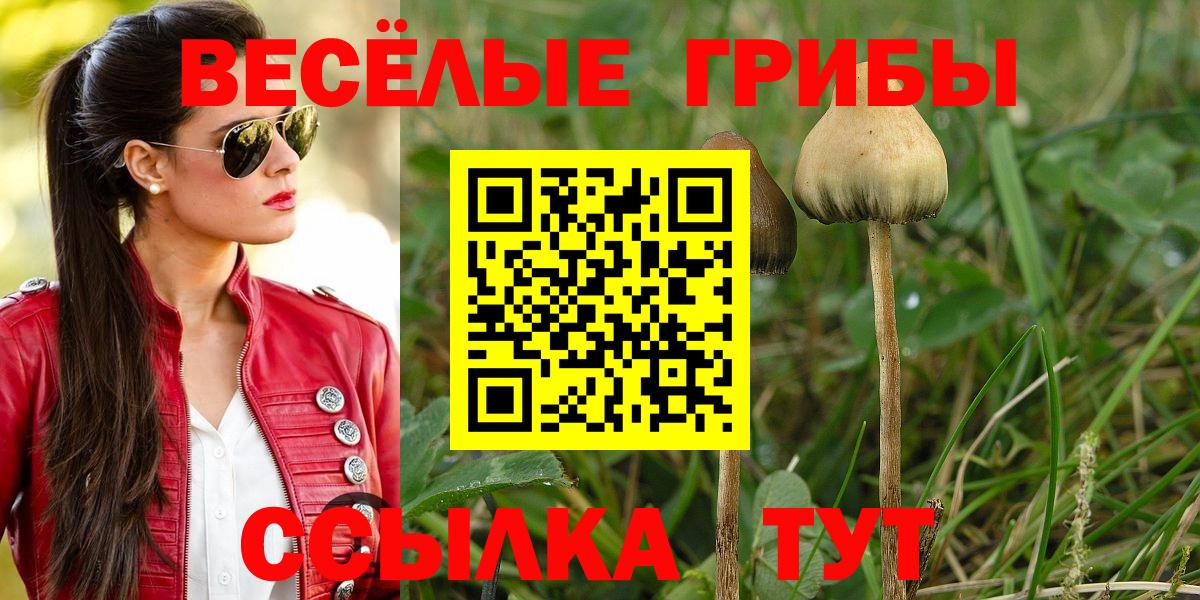 Псилоцибиновые грибы мухоморы  Вход с VPN  Белово 