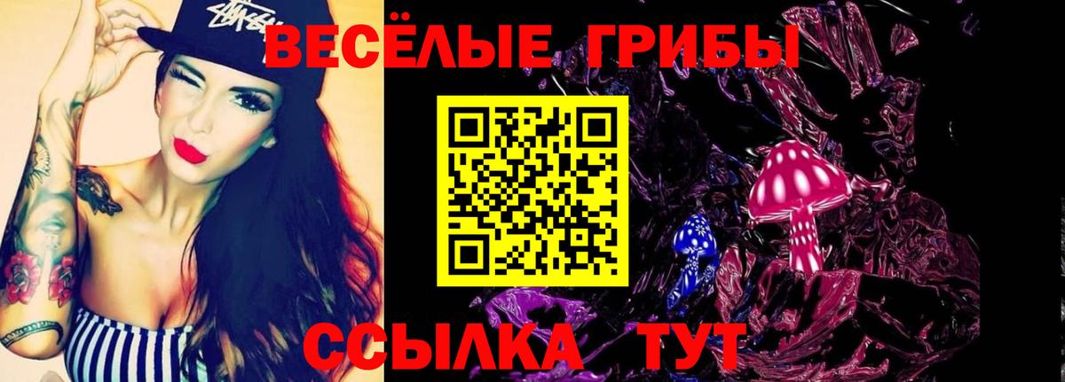 Псилоцибиновые грибы Magic Shrooms Белово